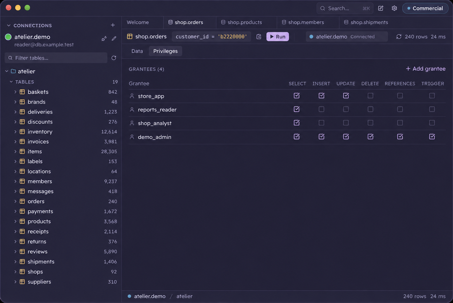The Privileges tab shows database roles and their SELECT, INSERT, UPDATE, and DELETE permissions.